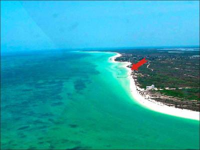 Lots/Land For sale in Holbox Island, Quintana Roo, Mexico - Pedro Joaquin Coldwell